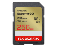 Sandisk 256GB SDXC Extreme Go UHS-I 230/150 MB/s - 1549230 - zdjęcie 1